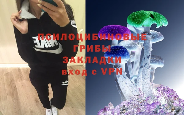 соль курить ск Нязепетровск