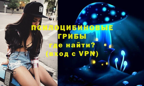 соль курить ск Нязепетровск